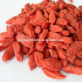 Ningxia especial grau evengranular orgânica seca goji berry / wolfberry